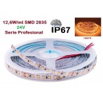 Tira LED Flexible 24V 12,6W/mt 120 Led/mt SMD 2835 IP67 1800ºK Serie Profesional, Venta por metros Tira LED Flexible 24V 12,6W/mt 120 Led/mt SMD 2835 IP67 1800ºK Serie Profesional, Venta por metros